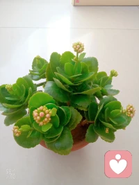 弘一法師說：
“糾結別人的惡，折磨自己的心；
放下別人的錯，解脫自己的心。

你傷悲，憂的是自己的情緒，
你急躁，擾的是自己的清凈。

做事從心起，看淡一身輕，忍讓一步，渡己一生。”

怨恨他人，是一種對自己的折磨，
是對自己的最大傷害。

心里郁積著憤怒和怨恨，
總是糾結別人的惡，讓別人的錯誤折磨自己，
那么，最終傷害的是自己。

所以，放下怨恨，不是為了別人，而是，
…為了自己解脫，為了自己的心自由呼吸。配圖