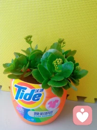 莫言老师在《晚熟的人》里写到：

“真正的强大不是对抗，而是允许发生。
允许遗憾，愚蠢，丑恶，虚伪，允许付出没有回报。
当你允许这一切之后，
你会逐渐变成一个柔软放松且舒展的人。”配图