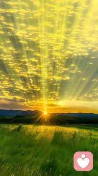 敘事療法:

我每天時不時就得深呼吸、然后根扎大地…
慢慢回到自我中來…
跟長輩一起生活，真的需要修行，他有太多的看不慣，

一會拿我跟我姐比，嚇得我學個禪舞還得偷摸的……

做個飯又拿我跟我哥哥比……

一會冷笑、嘲笑、鄙視各種負能量太重，我偶爾還是被激怒，察覺了就迅速抽離…
還得自我安慰，允許自己憤怒……

誰痛苦誰改變
誰改變誰痛苦
還在穿越痛苦的路上…

……我相信我的未來遼闊光明充滿無限的希望????????

在修行中…心理成長真的是慢慢來，慢就是快，噢耶!配圖