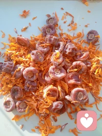 我們的祖國幅員遼闊，
南方鮮花盛開，
北方冰天雪地。

我在家里把自己的勞動成果收藏起來，
也蠻有成就感，很有趣!配圖