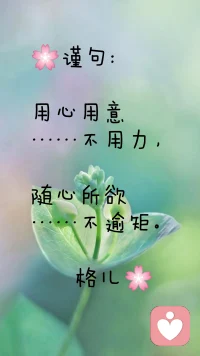 真相:

格局，就是看不见别人的坏
境界，就是看得见别人的好配图