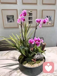 对每一个发生都保持感恩

幸福并不是得到你想要的，而是去感谢你所得到的。

当感恩从被文化和他人要求，成为自然自发的内在主动，

感恩才能真正地成为一种
……具有疗愈作用的生活态度

能悟到这个点，我们就开始觉醒了，ok配图