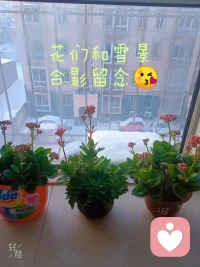 婚前旅行:在領證結婚、舉辦婚禮_前_旅行，
有利于預防婚姻問題。

詳談：
婚后的蜜月旅行是次序顛倒的，應該先旅行一個月，一個月后雙方還沒彼此看破，彼此厭惡，還沒吵嘴翻臉，還要維持原來的婚約，這種夫婦保證不會離婚。

行為理論認為，陌生環境會解放平時被道德規范約束的行為，只要周圍環境發生變化，個人行為也會隨之改變。所以在旅行中一些平時忽略的“小事”，比如消費習慣不同，生活習慣不同，都會表現出來。配圖