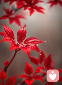 當你行走時，請好好專心行走；
當你吃飯時，請好好享受吃飯；
當你看書時，請好好專心看書；
當你跳舞時，請好好享受舞蹈…

只要腦海里不想其它的事，你的大腦以及身體感官就會變得敏銳，更有助于你專注任何一件事情。
輕輕地舒展眉心，放松額頭，舌尖抵住上鄂
給自已一個會心的微笑美美噠！

親愛的伙伴當下好配圖