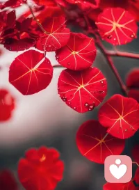 相信相信的力量……

要永远相信，所有的山穷水尽
……都藏着峰回路转，
就算是一地鸡毛也能搓出一个掸子！配图