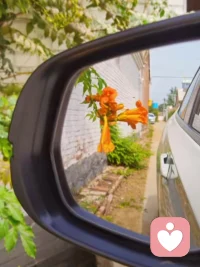 你越接纳，越平静，越有智慧处理问题，

每个不智慧的当下，都是因为自己不接纳的心开始的，

因为不接纳就生出很多抱怨，怨恨，

就不能做出对每个人都有利的事。配图