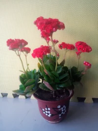 活在當(dāng)下，接受當(dāng)下的事，
事情才會(huì)有轉(zhuǎn)機(jī)，才會(huì)往更好的地方。配圖