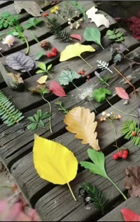 生命本就是如是的樣子:

往往人們會內心無名的發火，會抑制不住的憤怒暴躁
無非是太過于關注事情本身了，
把自己困在事情里一遍遍回憶更加痛苦不堪，無法自拔

試試看找一張白紙來
左邊寫你感到痛苦的事情，右邊寫帶給你的痛苦的情緒
寫好之后把紙從中間撕開，就是把事情和情緒剝離開來

去感受影響你的到底是事情本身還是情緒
當你不再困于事情本身，你就能看到全貌
當你心靜下來，引領自己向內看，你就能看到生命的的真相

一切的發生不是助你就是渡你，去感受它就好了不必留戀
感恩一切來到我身邊的人事物，他們都是帶著使命而來
當我體驗并看見一切禮物，他們的使命也就完成了
一切我放下的便都不再影響我，感恩一切如是的樣子配圖