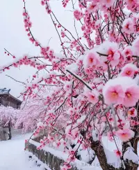 ??董宇輝給我們的建議： 

1.要專注：心無旁騖萬事可破。
 
2.要勤奮：付出不亞于任何人的努力，神明都會庇佑你。
 
3.耐挫：隨便你怎么折磨我，我就是不放棄。
 
4.樂觀：寧可正確的樂觀，也不要錯誤的悲觀。

5.正確的初衷：是你的鎧甲和護身符。配圖