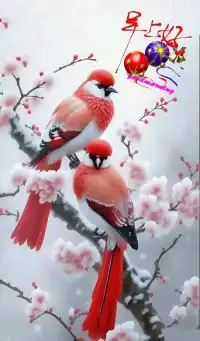 ??不必為了無法掌控的事情而焦慮，
就讓它隨著自己的本意慢慢發展吧??配圖