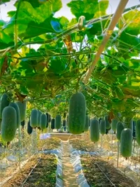 用盡全力，不如用對方法！

認知：比勤奮?重要
賽道：比努力重要
方向：比方法重要配圖