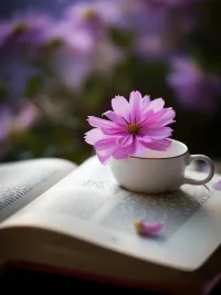 成長:
1讀萬卷書……
2走萬里路……
3得貴人助……
4自我感悟……配圖