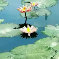 活的通透知道以下這四點(diǎn)就可以了:

1何為幸福？白天有說有笑，晚上睡個好覺。

2何為智慧？安排的事能做好，沒安排的事能想到。?

3何為情商？說話讓人喜歡，做事讓人感動，做人讓人想念。

4何為正能量？給人希望，給人方向，給人力量，給人智慧，給人自信，給人快樂！配圖