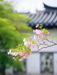 概念都知道……
人要有翻篇的能力
不依不饒只會畫地為牢

“我愿意心甘情愿”……就一定能做到配圖