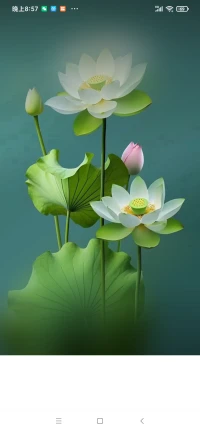 別人有多好、多不好不重要，
我自己是誰更重要，
我自己的價值更重要，
我自己的愿景使命更重要！

??早睡早起……早睡保命!早起改命!
晚安伙伴??配圖