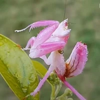 今天
我記得
要愛迎面而來的每個人每件事配圖