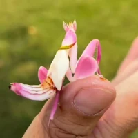 今天
我記得
要愛迎面而來的每個人每件事配圖