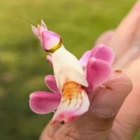 今天
我記得
要愛迎面而來的每個人每件事配圖