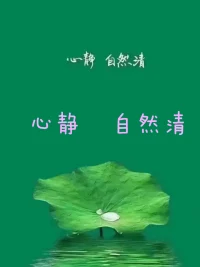 說????
和平猶如空氣和陽光，受益而不覺，失之則難存

無論在任何的場域，包括家庭，單位，公司，公共場合
我們都應該做和平的維護者和促進者
不能這邊搭臺，那邊拆塔
而應該相互補臺，好戲連臺

此處更應該有掌聲??????????配圖