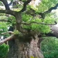 只言片語(yǔ):
尊重是接納一個(gè)完整的自己或他人。
接納自己和他人本來(lái)的樣子。
接納自己的不完美，不抱怨過(guò)去，
不評(píng)判自己曾經(jīng)使用過(guò)的方法。

這容易嗎？好像不是很容易，
如果沒(méi)有覺(jué)察、覺(jué)知，分分鐘就掉進(jìn)了過(guò)去的坑里。配圖