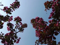 相信自己……本自具足
就可以隨時(shí)隨地隨意的創(chuàng)造一切

??早安親愛的伙伴，讓我們一起唱《相信自己》配圖
