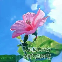 假期結束，回歸正常……

愉快的過好每一天，就是過好這一生，感謝假期出行的一些美好相遇，感謝親人、同學

深刻的理解到一句話，關系是麻煩出來的，之前我總是怕麻煩別人，現在覺得，就是要彼此麻煩，才有禮尚往來。配圖
