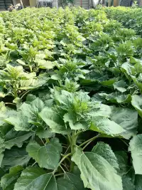 ?今日經(jīng)典
如果你愿意改變想法，就能改變?nèi)松???早安我的世界!世界早安配圖