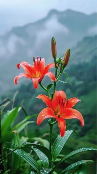 ??第25天~每一天愛(ài)自己
我愛(ài)真實(shí)的自己，也接受這樣的自己

?晚安我的世界!晚安愛(ài)自己的伙伴?配圖