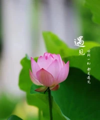 早安?
不管是碰到的人、做過的事、還是任何的遭遇，其實都是內在的一個映射。內心豐富了，看到什么都是美的，不管面對什么樣的生活和工作，都是積極的，投入的，付出的。配圖