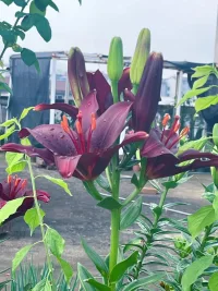 ?發(fā)生的就接受，存在的就合理
……那就是生命的需要，無關(guān)對錯、好壞

??你好！早安我的世界!配圖