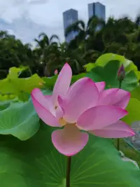 ??愛自己每一天～043
我只允許善良、有愛心的人走進我的世界配圖
