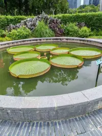 一個真相:
當我們沒做自己時，做什么都是逆向的
當我們做自己時，不管做什么事都是順流配圖