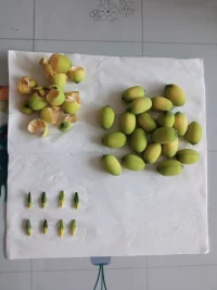 ?人生就像淘寶，不可能永遠收獲所有好評
我要做的，就是做好我自己

??我允許自己擁有的比我夢想中的還要多????配圖