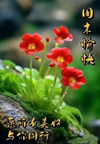 ?人生就像淘寶，不可能永遠收獲所有好評
我要做的，就是做好我自己

??我允許自己擁有的比我夢想中的還要多????配圖