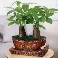 第59天~每一天愛自己
我愛我的孩子，孩子也愛我配圖