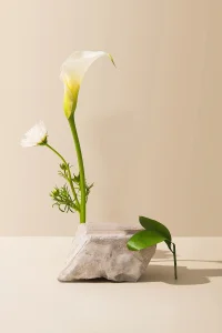 第64天~每一天愛自己
我是受到祝福的人??配圖