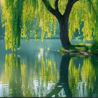 第65天~每一天爱自己
❤️现在，我要释放出所有的自我批判配图