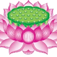 自己不醒悟，他人如何渡；
自己若醒悟，何必他人渡~配圖