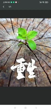 第90天~每一天愛自己

??我用愛傾聽我的內在小孩

??如果能每天抽一點時間跟你的內在小孩連線
生活將會變得更美好配圖
