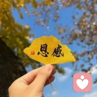 學習的內化功法4個步驟
1記筆記
?2復習筆記
?3使用筆記 立刻用，
錄音或者分享或者說給鏡子里的自己聽
?4融會貫通

?學習完還要做一個總結
我感受到了什么，我做了什么決定

??共享這篇學習思維的記錄
看著很簡單，做起來有點挑戰(zhàn)哦
?配圖