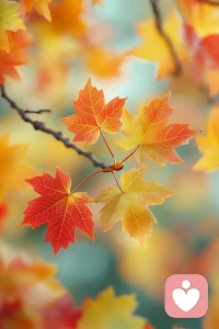 ??
請原諒我每天的堅持出場
因為我相信您剛好需要
而我剛好專業配圖