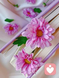 俗話說，“人活一張臉，樹活一層皮。”
面是子?世間難最?放下，又只徒有其表的?東西。

一旦過?分在意，便成了“死要?面子活受罪”。面子，是人?心里的一個大?包袱。越在意，越沉重，人就?越會受制于它。

真正?內心有信念、聰明?的人，從來都是?把面子得看?輕如鴻毛。
??學著放下面子，就已經成為了聰明智慧的人喲配圖