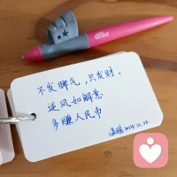 ?愛自己的第12天來了：
每一天愛自己的治愈經典，一天一篇送予大家，開啟我們擁抱內在力量的心靈之旅
?我愿意愛自己

      一整天都可以做鏡子練習。早上起床后，你可以在衛生間的鏡子前做第一次練習，然后在接下來的一整天里，每次路過鏡子或在玻璃中看見自己的身影時，就做一遍。

1.站在或者坐在鏡子面前。
2.凝視自己的眼睛。
3.深呼吸，說出以下肯定語:“我想喜歡你，我要真正學會愛你。去做就對了，好好享受吧。”
4.再做一次深呼吸，說道:“我在學著真正喜歡你，我在學著真正愛你。”
5.這是第一個練習，我明白這可能有點難度，但請堅持下去。繼續深呼吸，注視自己的眼睛。當你說出以下肯定語時，請加上自己的名字:“我愿意學著愛你，(名字)，我愿意學著愛你?！?6.在接下來的一整天里，只要路過鏡子或看到自己的身影，都要說出這些肯定語。配圖