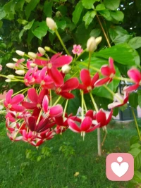 委屈是在父母那里沒有得到滿足，
在外面要要要……
在伴侶、同事、朋友哪里覺得受委屈了
都是折射(投射）出了對父母的期待
此刻要回到自己身上，為自己負全責。
?
???我愿做你的心靈助手，和你攜手修通心靈之路配圖