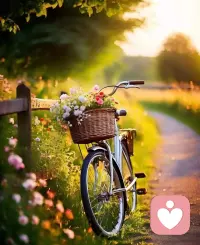 ????愛自己的第25天來了：
每一天愛自己的治愈經典，一天一篇，開啟我們擁抱內在力量的心靈之旅

                    我愛真實的自己，也接受這樣的自己
        我愛自己，并接受真實的自己。不論我在哪里，我都會支持自己、相信自己、接受自己。我沉浸于自己內心的愛，我將手放在心口上，感受到愛就在這里。就在此時此地，我知道還有很大的空間可以接納自己。我接受自己的體重、身高、外表、性取向，以及自己的經歷。我接受我為自己創造的一切-包括過去和現在，也愿意放手讓未來發生。

      我是生命神圣的、精彩的呈現，而我值得最好的。

      現在，我為自己接受這一切，
接受所有奇跡、接受療愈、接受完整。最重要的是，我接受我自己。我是珍貴的，我珍惜真正的自己，事實就是如此。
??安好美麗的世界！安好親愛的伙伴!配圖