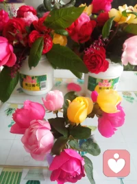 看天氣預報，明天氣溫驟降，我剛剛在小區花園去拾花兒，雖然把鞋、褲子都弄臟了，累的我大汗騰騰騰，但是看到花兒們得救了，能在我家多開幾天，我還是很開心，還特意給花兒們選了三個優雅的花瓶，估計伙伴都認得出來，笑!
……名副其實的累并快樂著
……這也是一種很美好的體驗配圖