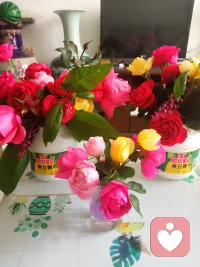 看天氣預報，明天氣溫驟降，我剛剛在小區花園去拾花兒，雖然把鞋、褲子都弄臟了，累的我大汗騰騰騰，但是看到花兒們得救了，能在我家多開幾天，我還是很開心，還特意給花兒們選了三個優雅的花瓶，估計伙伴都認得出來，笑!
……名副其實的累并快樂著
……這也是一種很美好的體驗配圖