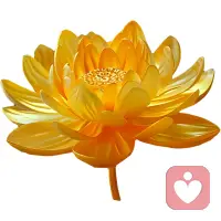 ✨今日修行:穿梭在灵性的世界里
今天无论经历或者正在经验什么，
都开心地对自己说，太好了，完美体验。

✨肯定语句:我是唯一的根源。

✨珍爱自己，悦纳所有，一切所见均为镜子

❤️早安美丽的世界！早安亲爱的伙伴配图