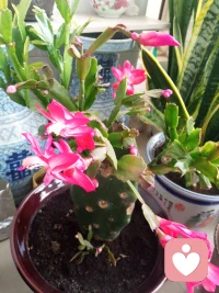 愛會延續，傷害也一樣
父母曾經對待我們的方式
我們最終不可避免地用在了孩子身上……
我們通過學習和不斷的自我成長
會把家族傳承的好的模式發揚下去
把那些傷害性模式終止

??加油！我們已經走在越來越好的路上了?配圖