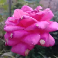 不管任何事情
你的大腦就是你的天花板
也是你孩子的天花板

世界上，最大的監獄是人的大腦

你每天都在為你的認知買單
無時無刻不是這樣

唯有成長才能破局
唯有拓寬認知才是從根本上解決問題
當然，這只是我自己的片面感觸哦！
??晚安美麗的世界！晚安親愛的伙伴!配圖